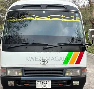 Toyota Coaster 2002 White
