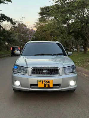 Subaru Forester 2004 Silver