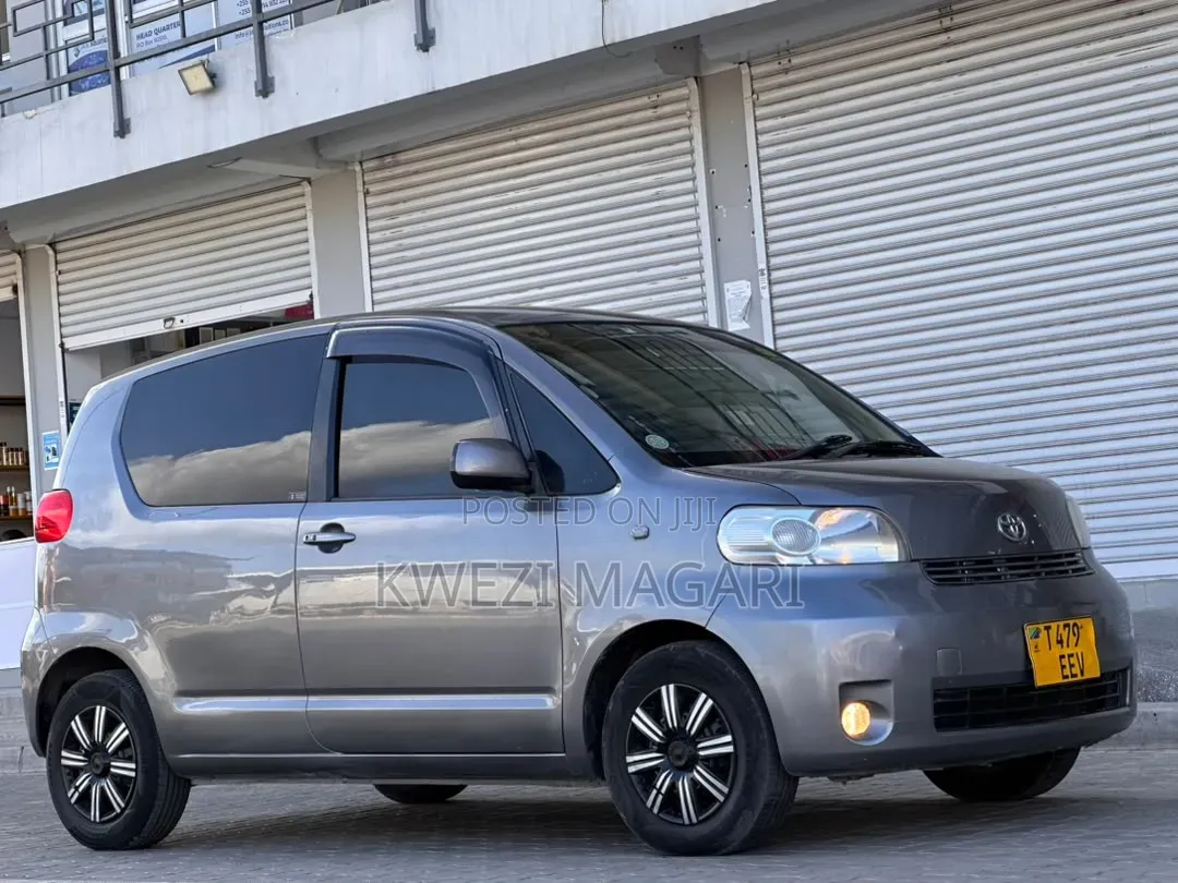 Toyota Porte 2006 Gray