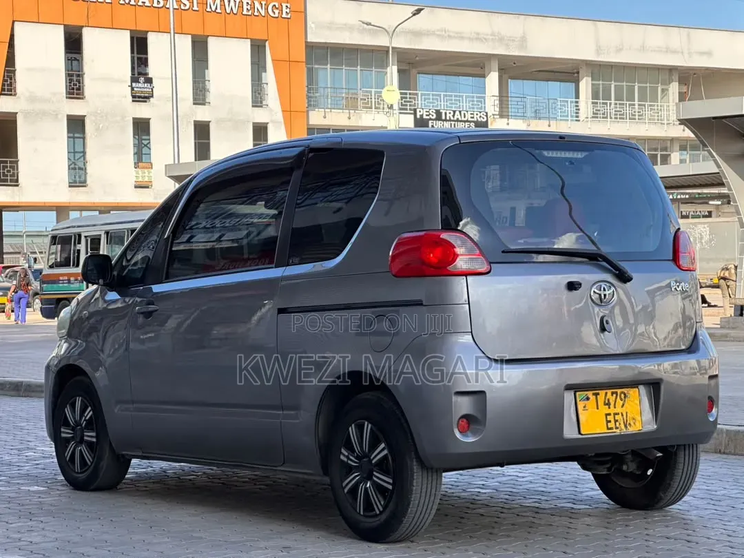 Toyota Porte 2006 Gray