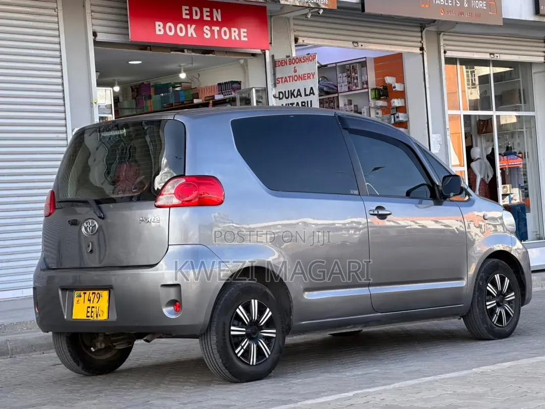 Toyota Porte 2006 Gray