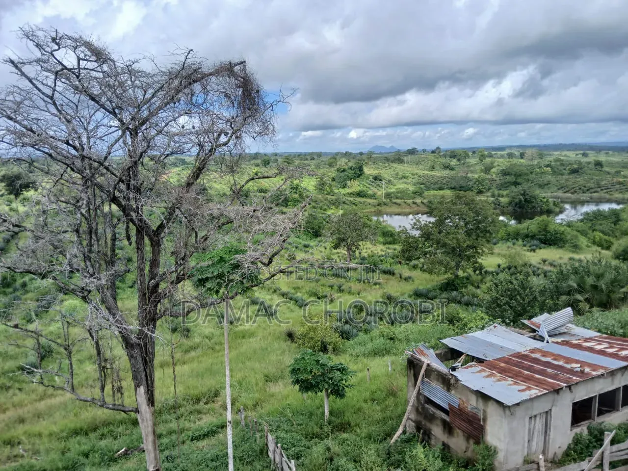 Shamba Linauzwa Songea Ruvuma
