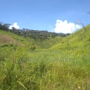 Shamba La Mkonge Kilomo Linauzwa Tanga Pangani