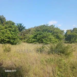 Shamba La Mkonge Kilomo Linauzwa Tanga Pangani