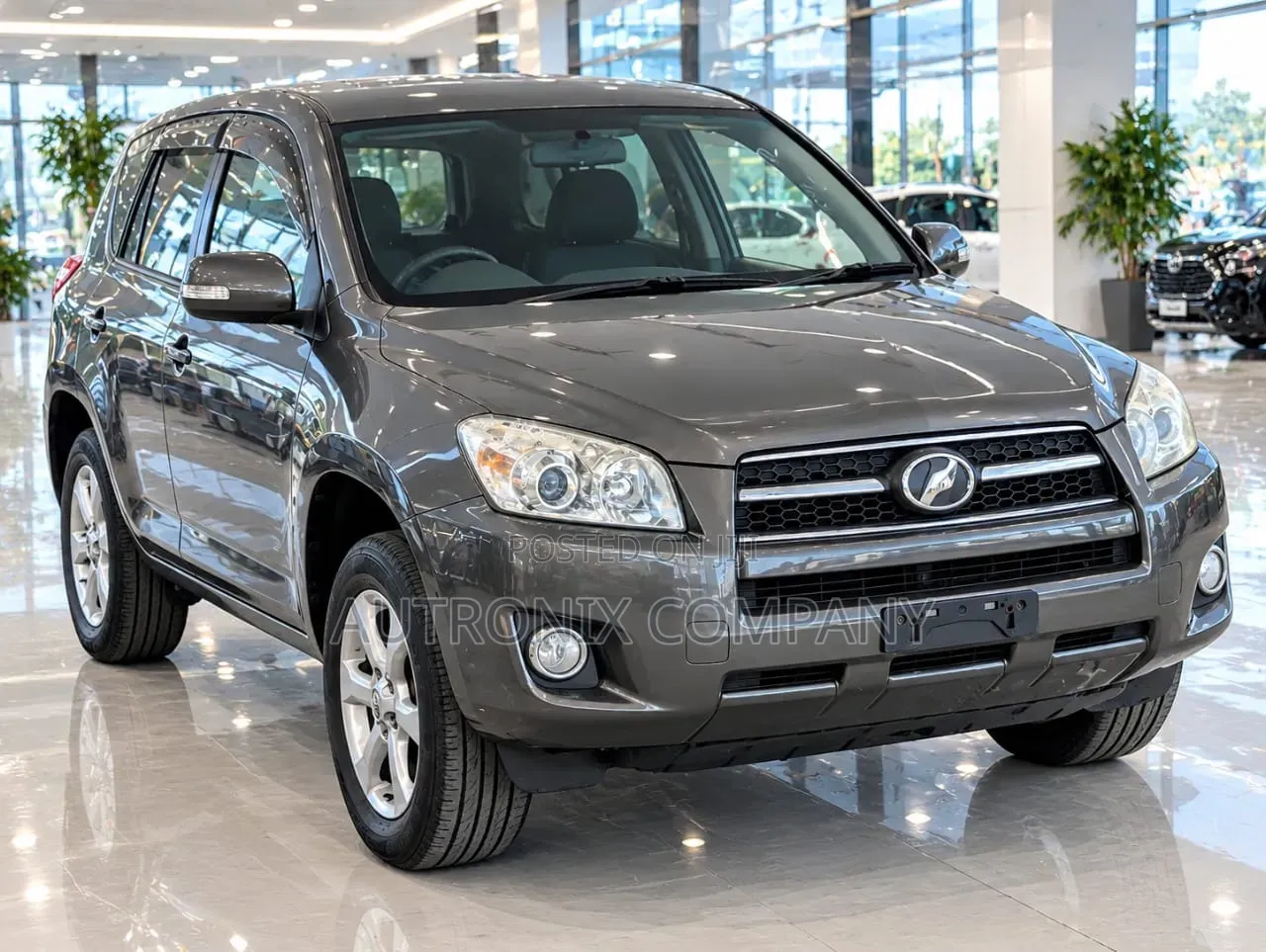 Toyota RAV4 2009 Gray