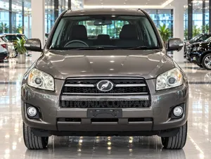 Toyota RAV4 2009 Gray