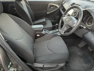 Toyota RAV4 2009 Gray