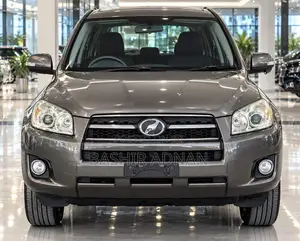 Toyota RAV4 2009 Gray