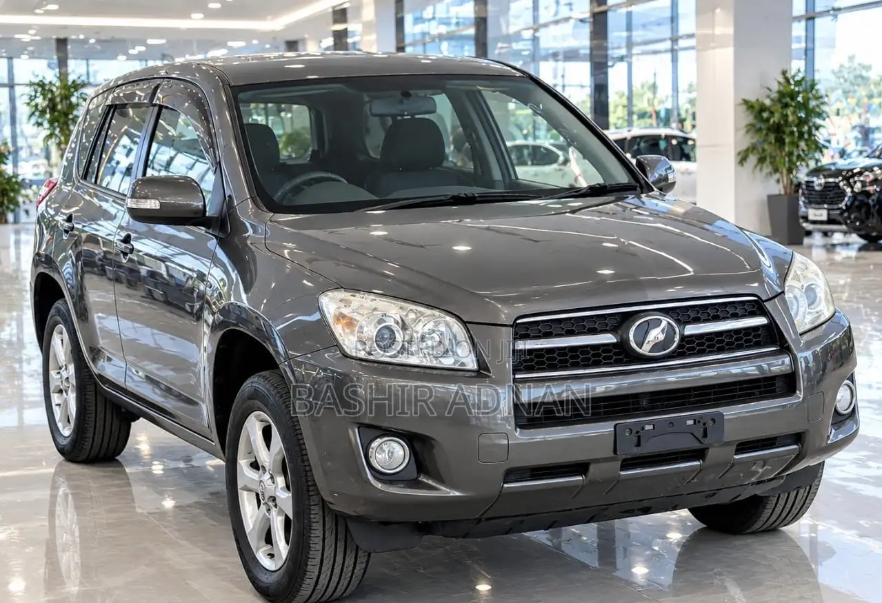 Toyota RAV4 2009 Gray