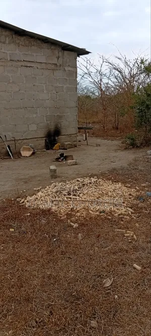 Shamba Linauzwa Lina Title Deed Kibiti Mkuranga