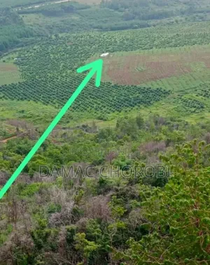 Acre 1107 for Sale Maseyu Morogoro
