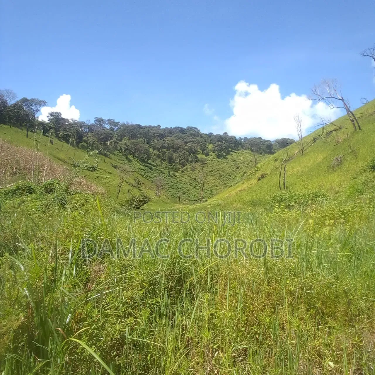 Acre 1107 for Sale Maseyu Morogoro