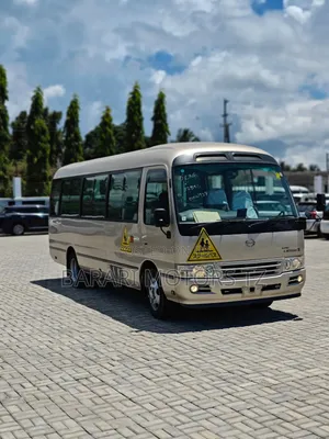 Toyota Coaster 2007 Beige