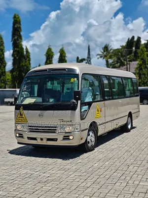 Toyota Coaster 2007 Beige