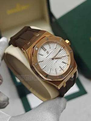 Audemars Piguet Men Watch [Mechanical]