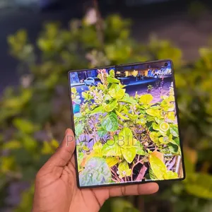 Vivo X Fold5 256 GB