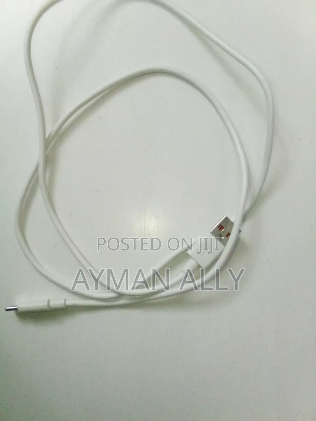 Fast Charger