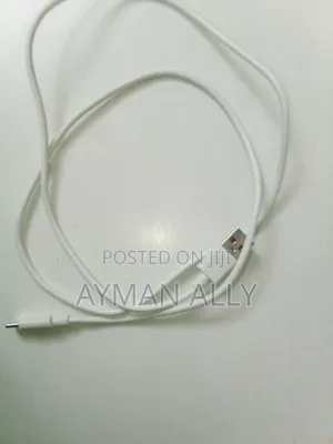 Fast Charger