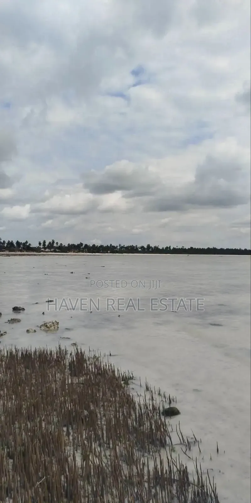 Beach Plot for Sale at Pongwe Zanzibar