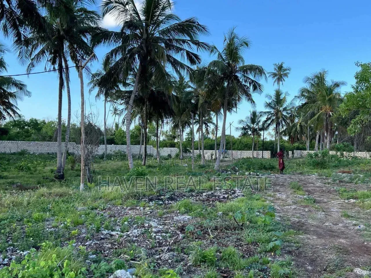 Beach Plot for Sale at Pongwe Zanzibar