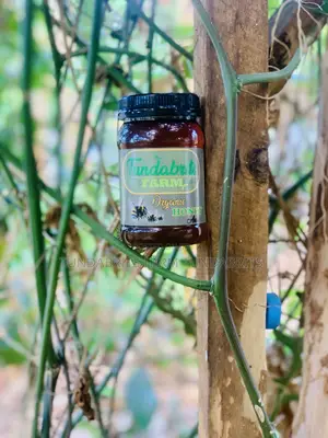 Tundabrits Farm Honey