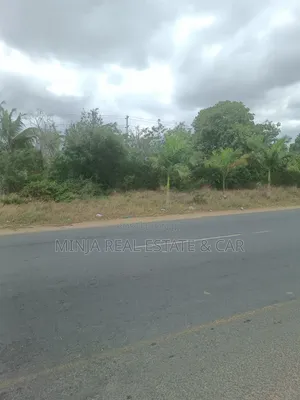 Industrial Plot for Sale Mapinga Bagamoyo Along the Main Road