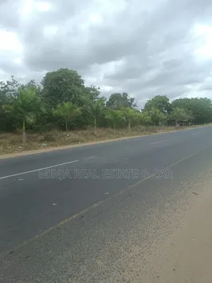 Industrial Plot for Sale Mapinga Bagamoyo Along the Main Road
