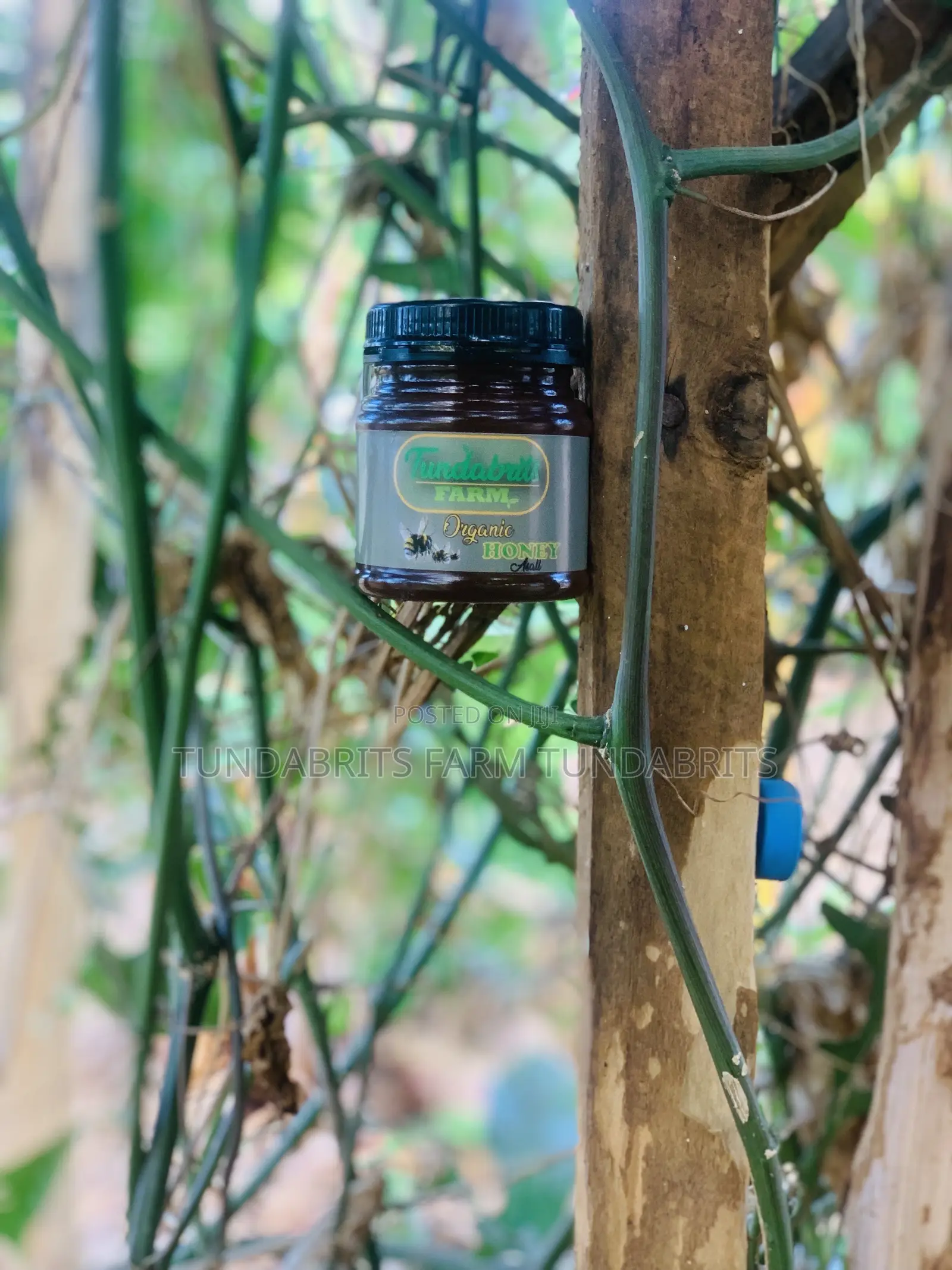 Tundabrits Farm Honey