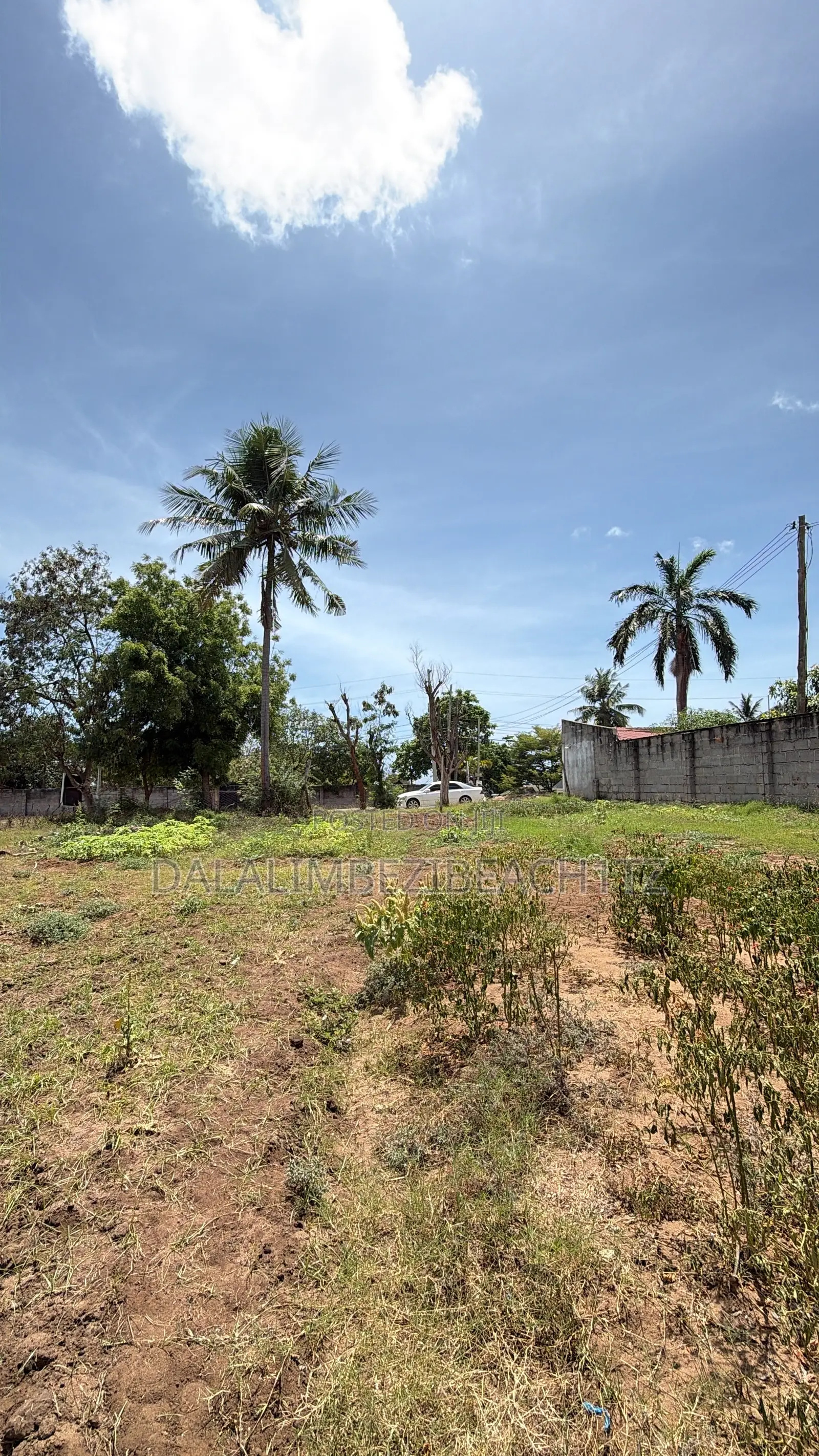 Kiwanja Kinauzwa Salasala Ushuani