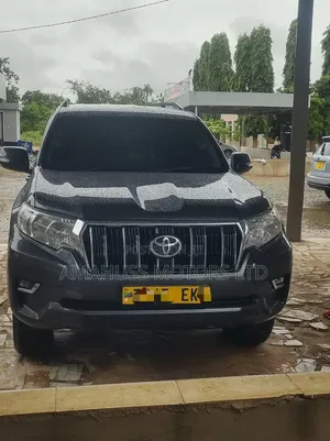 Toyota Land Cruiser Prado 2017 Gray