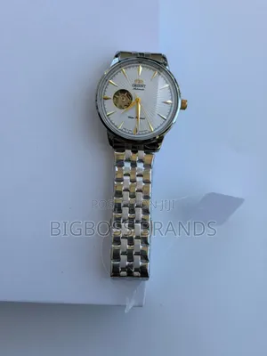 Orient Stainless Steel Watch [Automatic Watch]