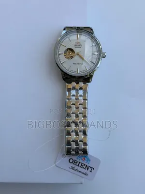 Orient Stainless Steel Watch [Automatic Watch]