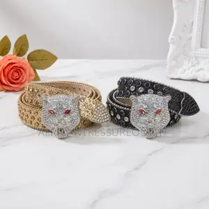 Ice Belts Premium Collection | Buy Now