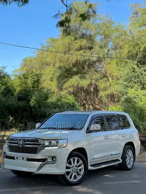 Toyota Land Cruiser 2013 White