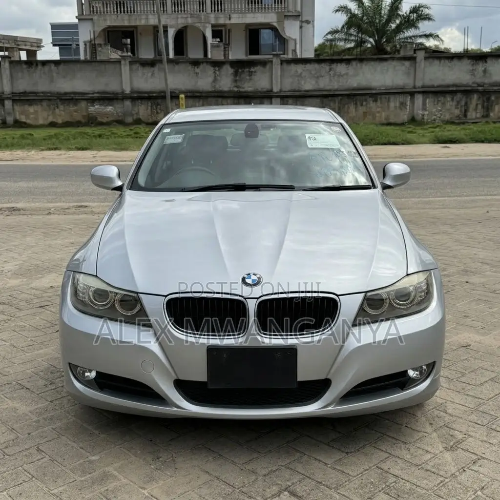 BMW 320i Sedan RWD 2010 Silver