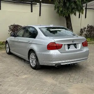 BMW 320i Sedan RWD 2010 Silver