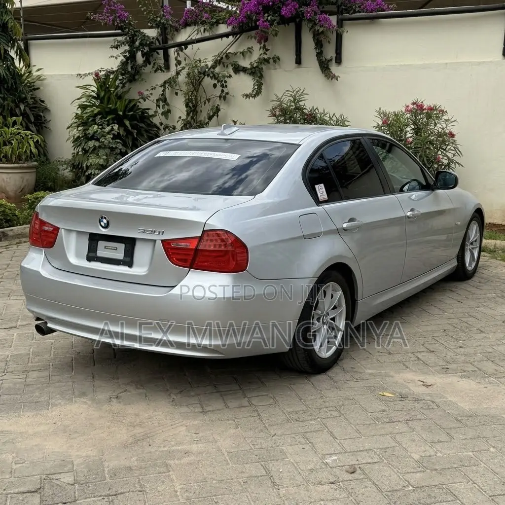 BMW 320i Sedan RWD 2010 Silver