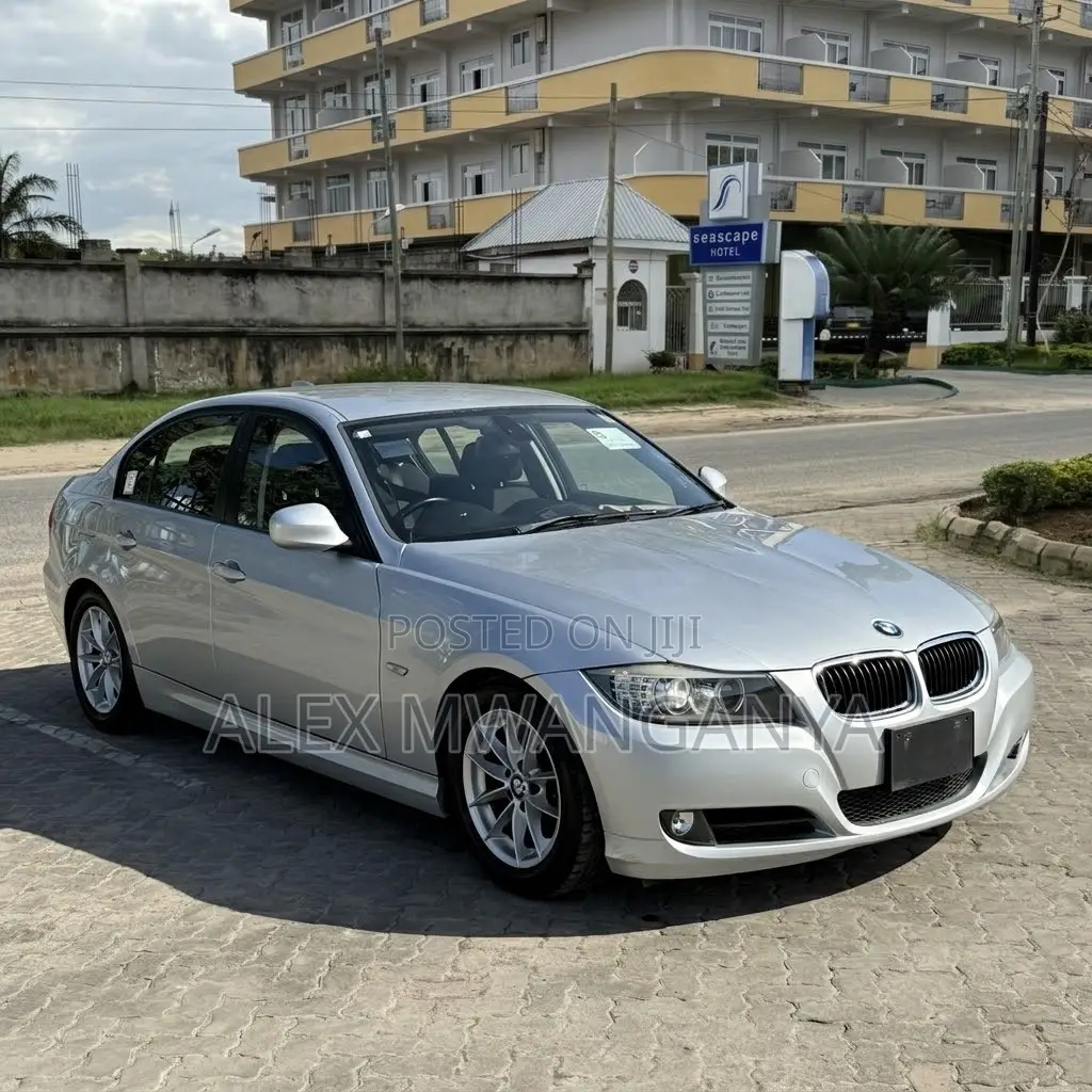 BMW 320i Sedan RWD 2010 Silver