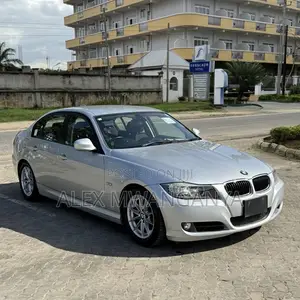 BMW 320i Sedan RWD 2010 Silver