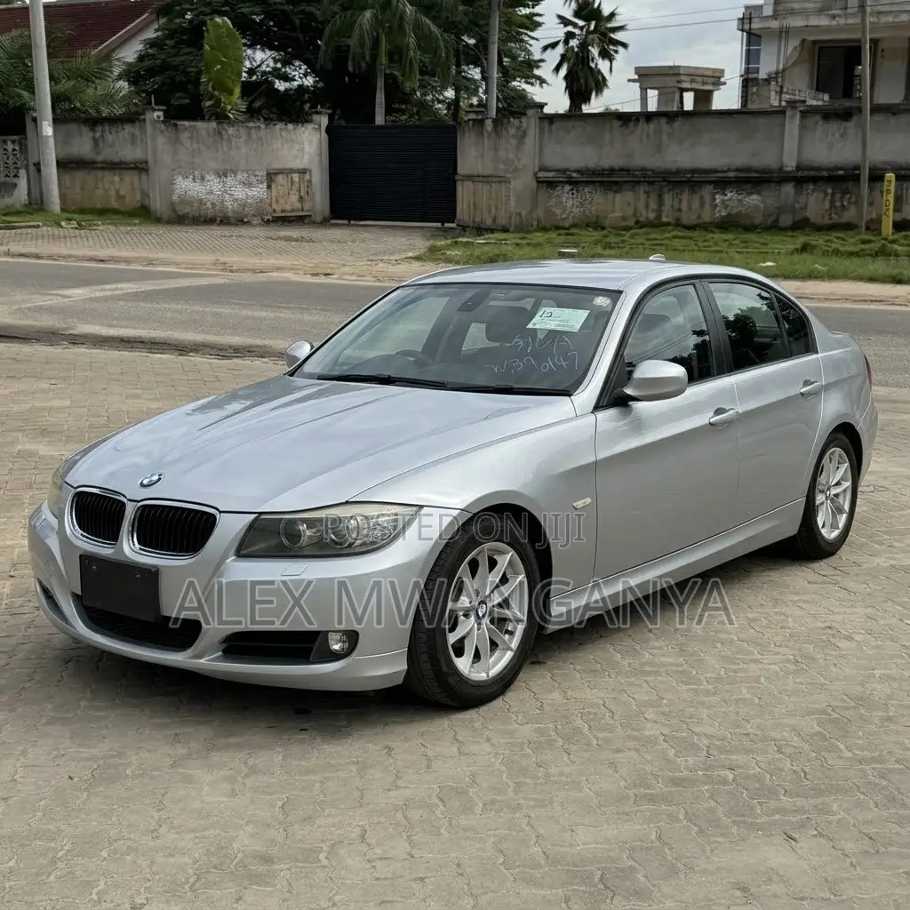 BMW 320i Sedan RWD 2010 Silver