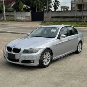 BMW 320i Sedan RWD 2010 Silver