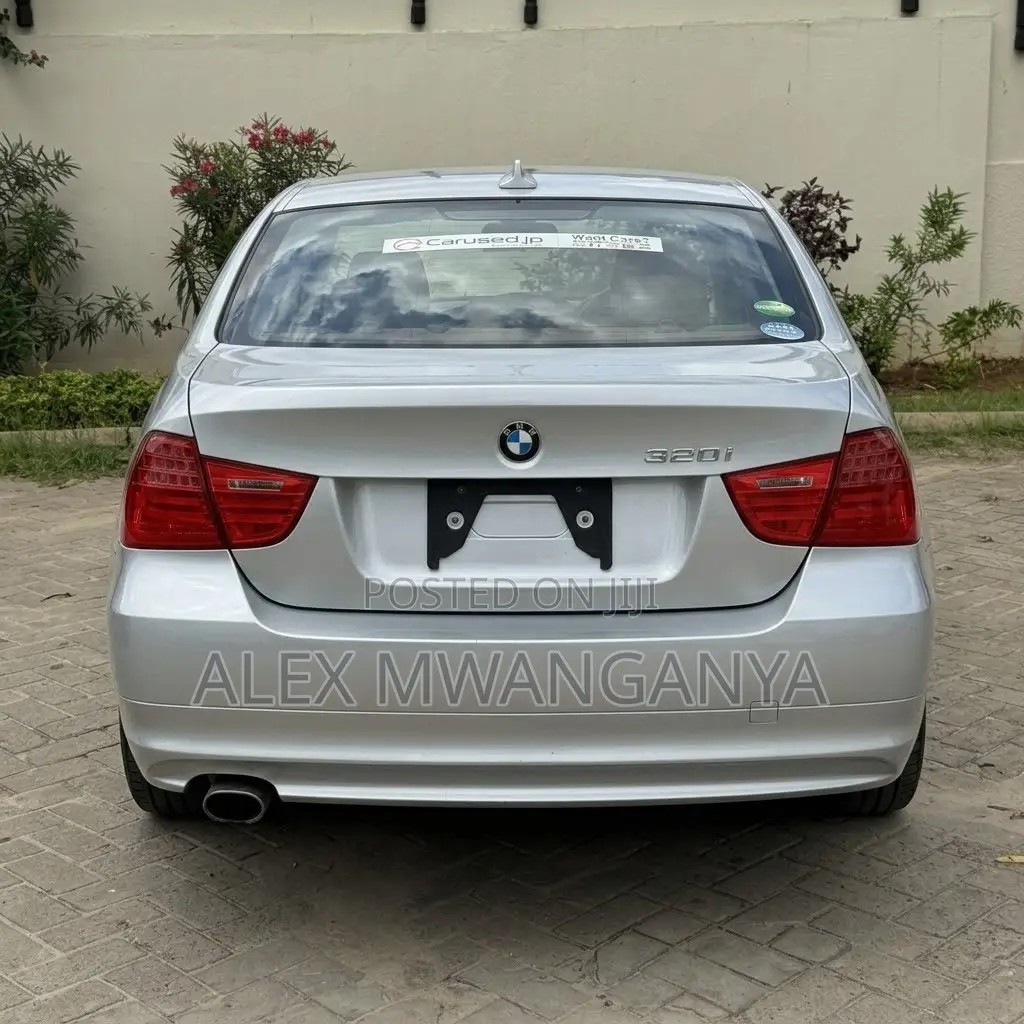 BMW 320i Sedan RWD 2010 Silver