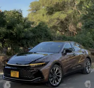 Toyota Crown 2024 Brown