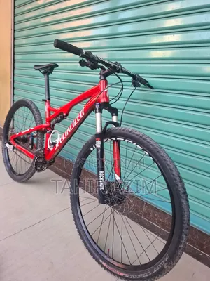 Specialized Full-Suspension Mountain Bike – 29 Inch.