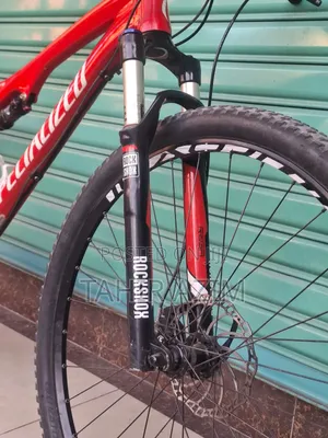 Specialized Full-Suspension Mountain Bike – 29 Inch.