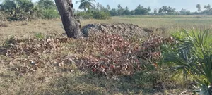 Industrial Plot at Kisarawe II