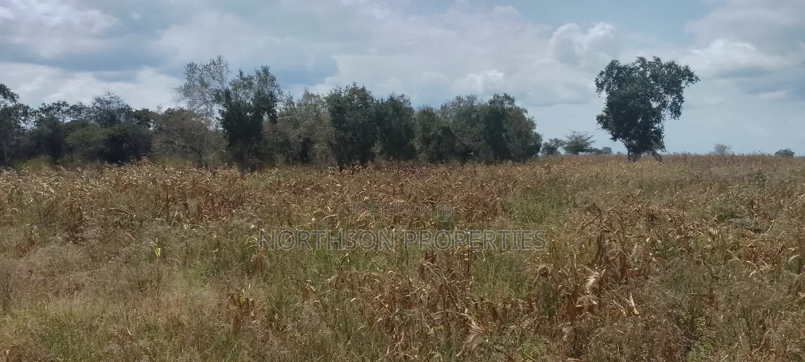 Industrial Plot at Kisarawe II