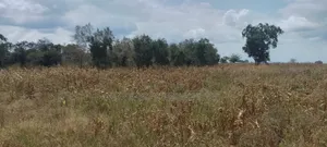 Industrial Plot at Kisarawe II