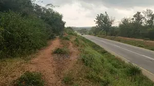 Eneo Linauzwa Lilogusa Lami Mbwewe Eka 20