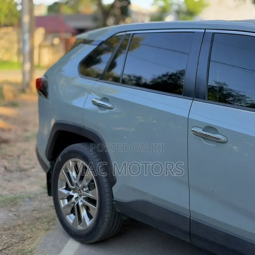 Toyota RAV4 2020 Gray